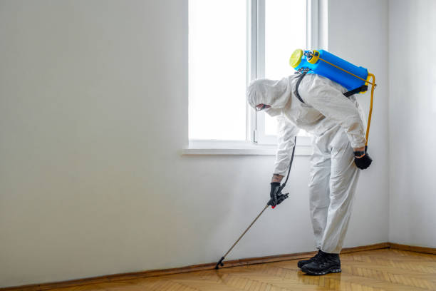 Best Best Pest Control Companies  in Auxvasse, MO