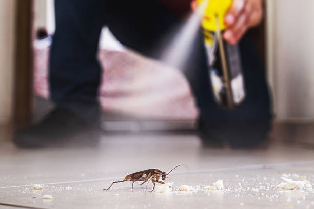 Best Cockroach Control Services  in Auxvasse, MO